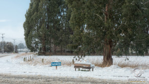 Southland_winter_011